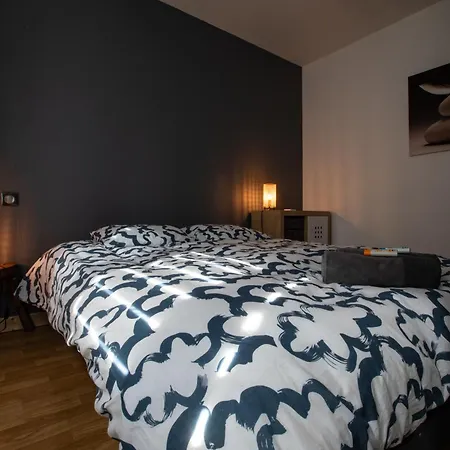 Rare Maison Moderne Proche Centre Avec Jardin Parking Gratuit Nyaraló