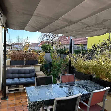 Rare Maison Moderne Proche Centre Avec Jardin Parking Gratuit * Colmar
