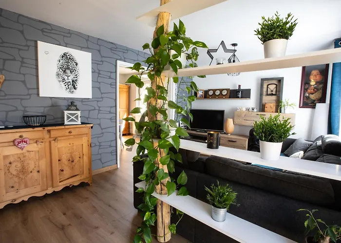 Rare Maison Moderne Proche Centre Avec Jardin Parking Gratuit Colmar